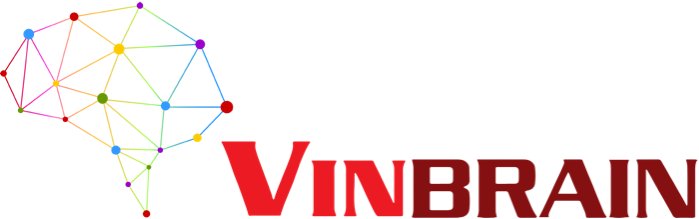 VinBrain